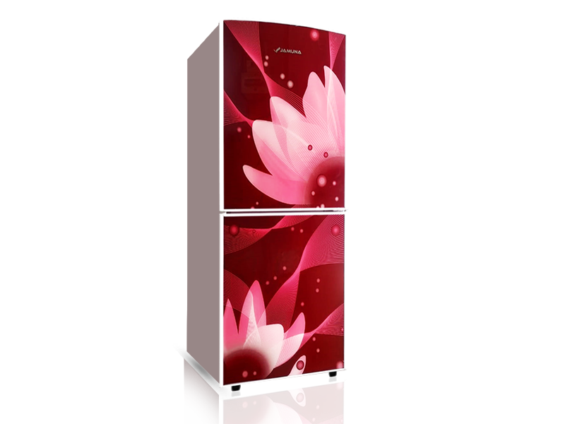 Jamuna 268L Refrigerator JE-2F8JF CD Wine Water Lily