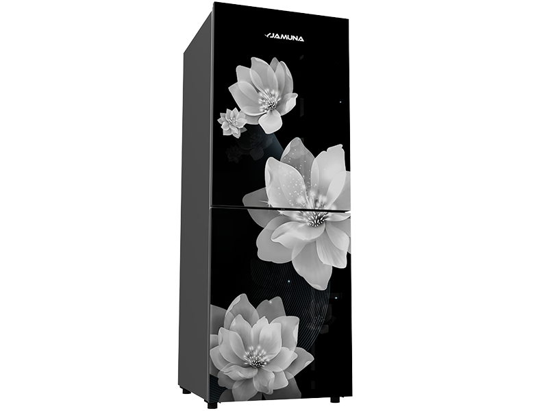 Jamuna 170L Refrigerator JE5-BM1G0QD Silver Lotus