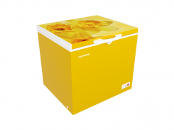 Jamuna 150L Freezer JF D1E0L CD Day Lily